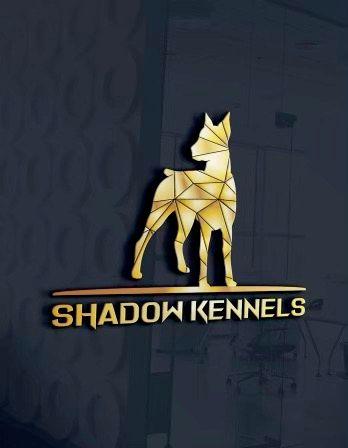 Shadow Kennels