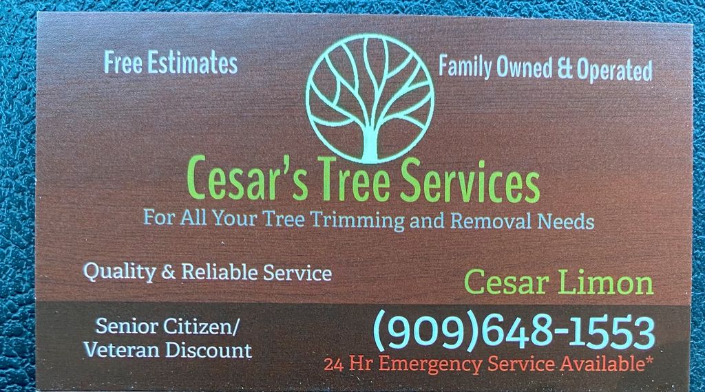Cesar’s Tree Services
