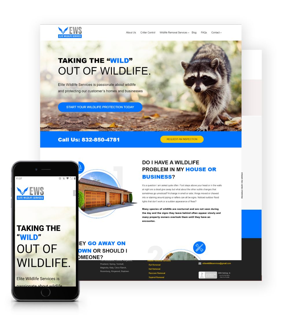 Projects and media