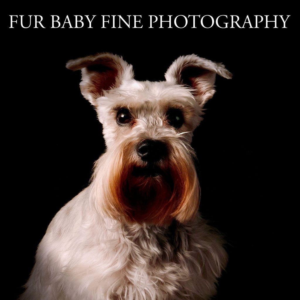 Fur Baby Fine Photography