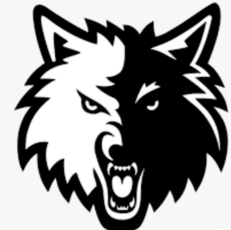 BlackWolf Gutters