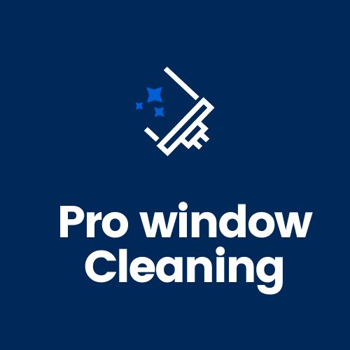 Pro Windows Cleaning