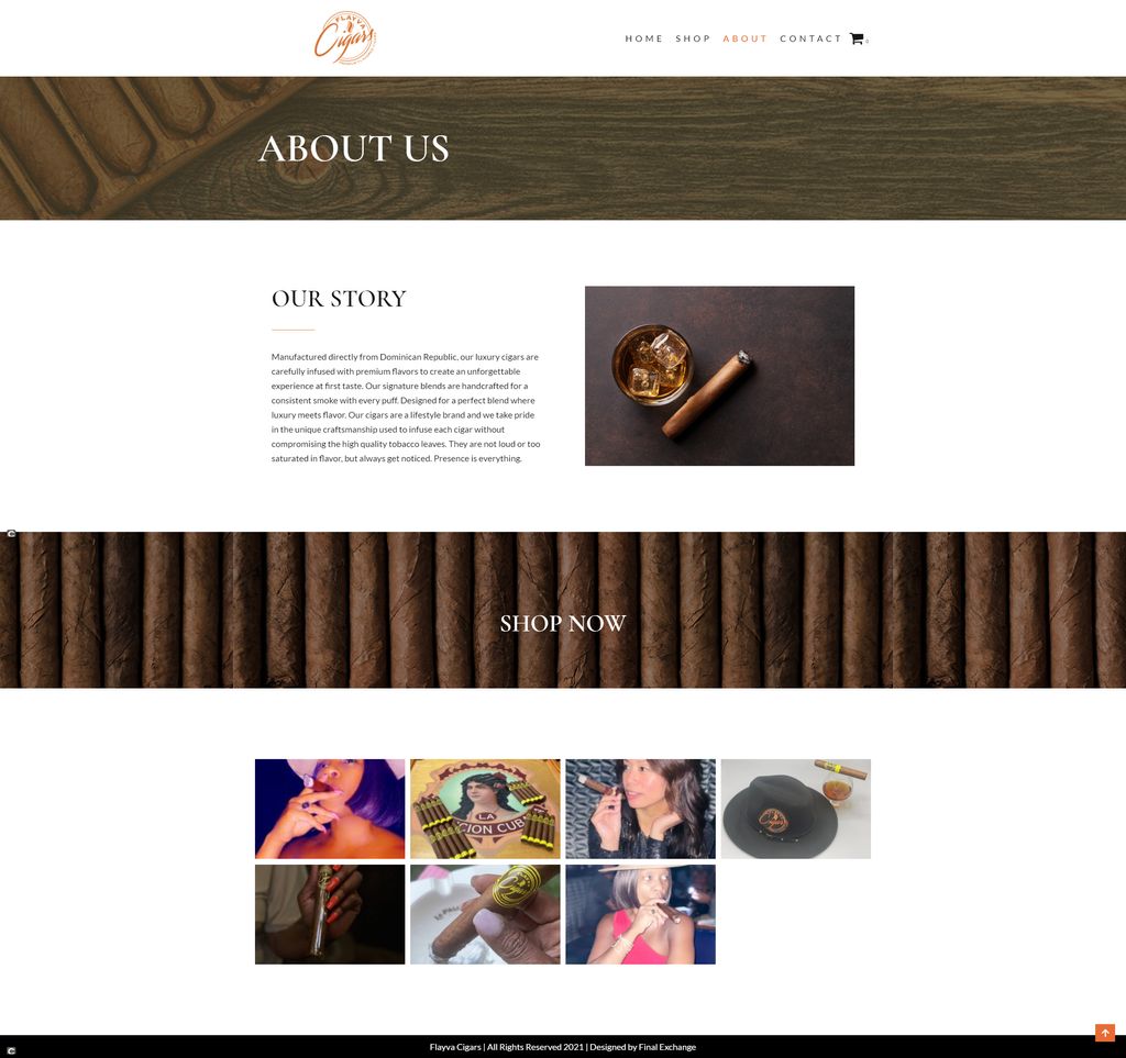 Projects and media