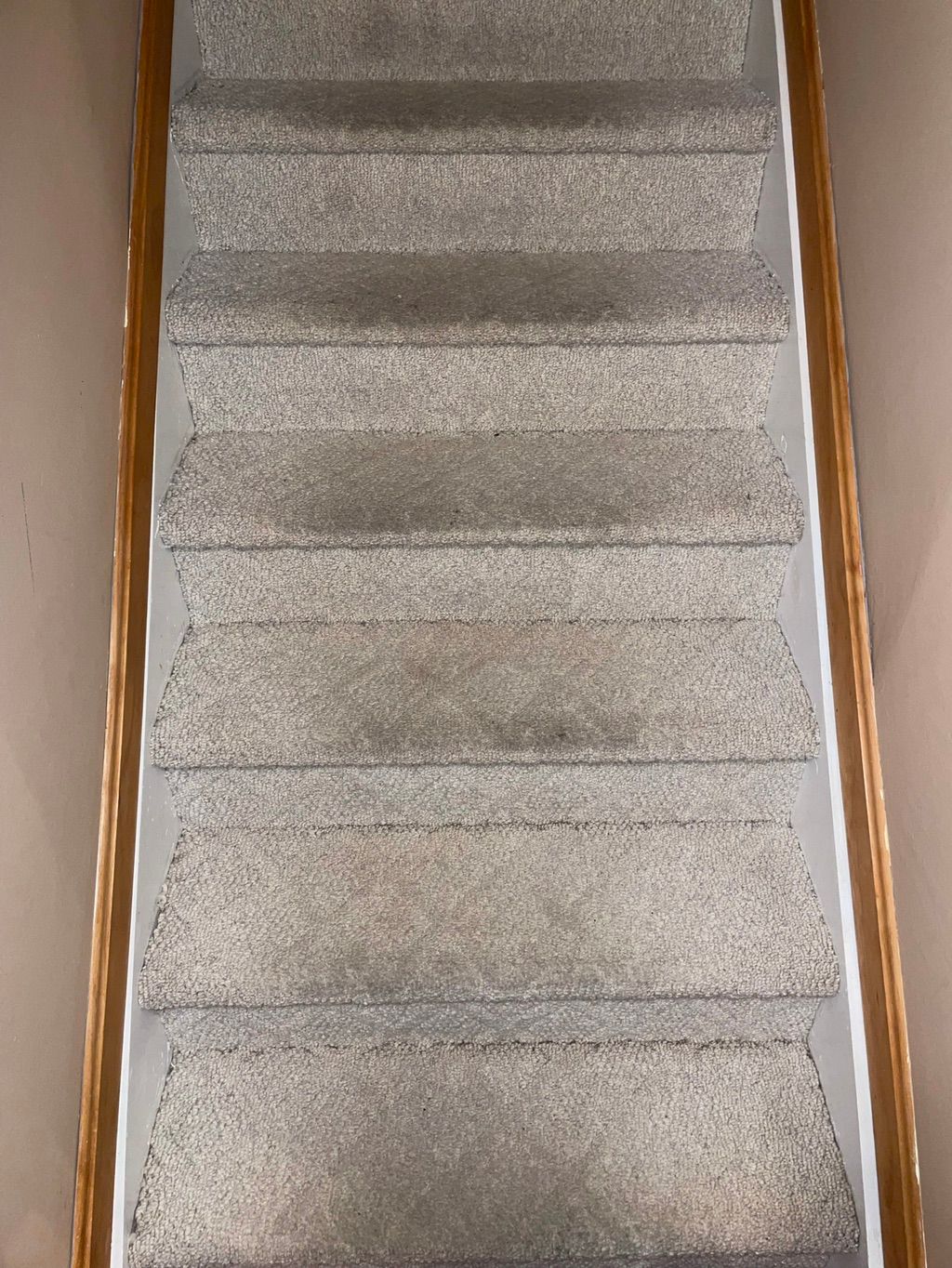 Before carpet cleaning 