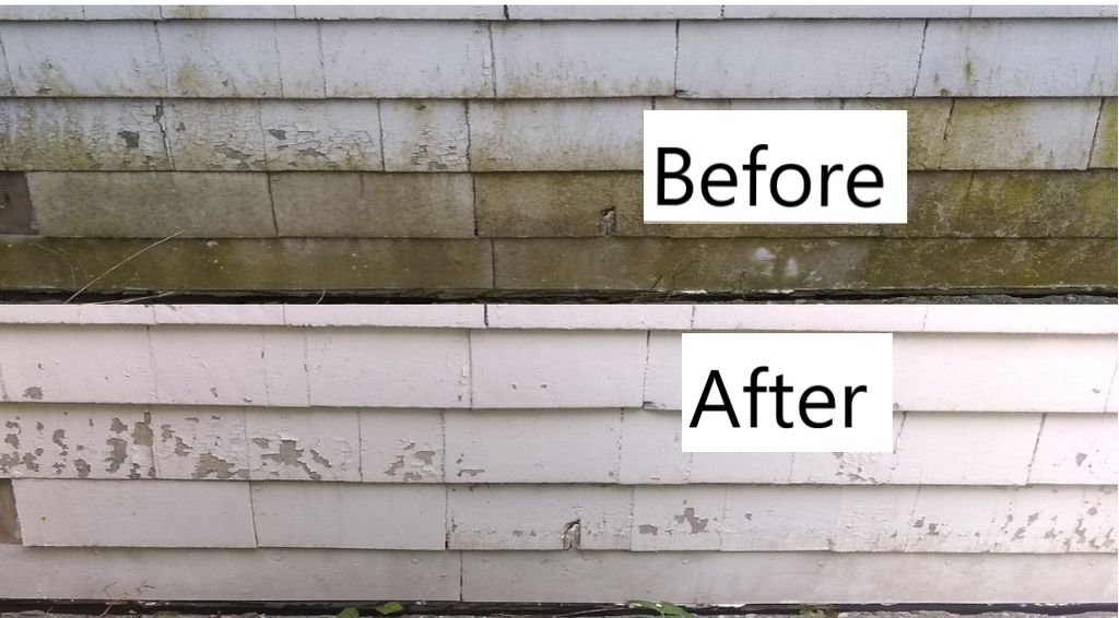 Painted Cedar Siding