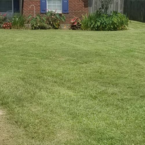Hands down best lawn care I have ever had. Lawrenc