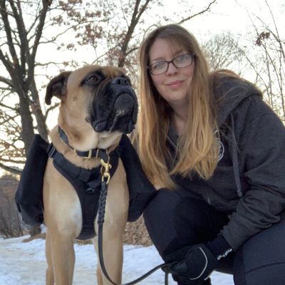 Avatar for J&J’s Dog Walking, Training and Pet Sitting
