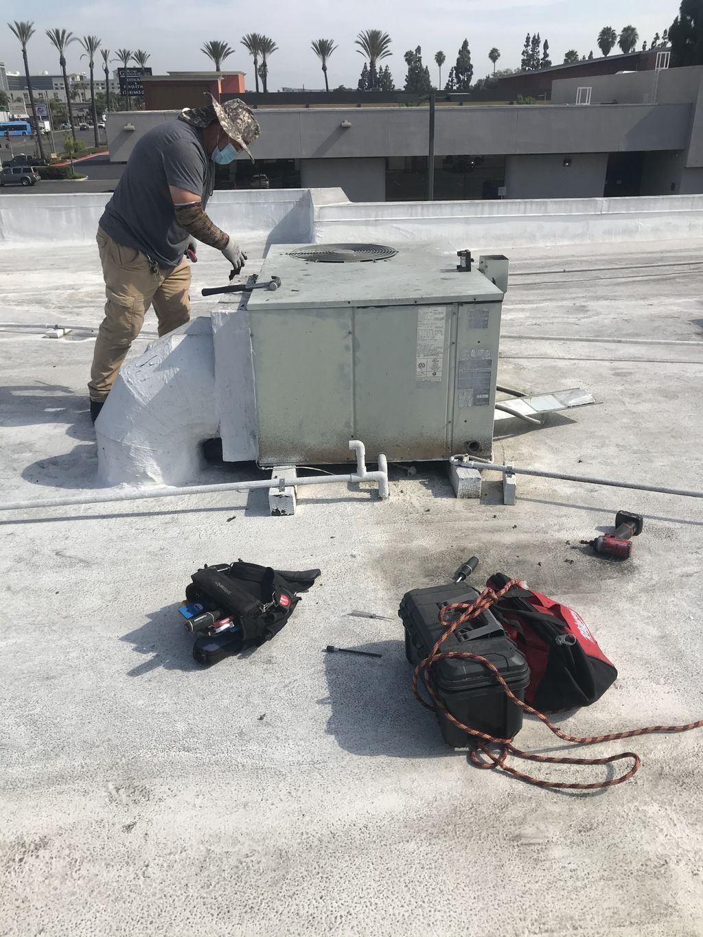 Projects and media