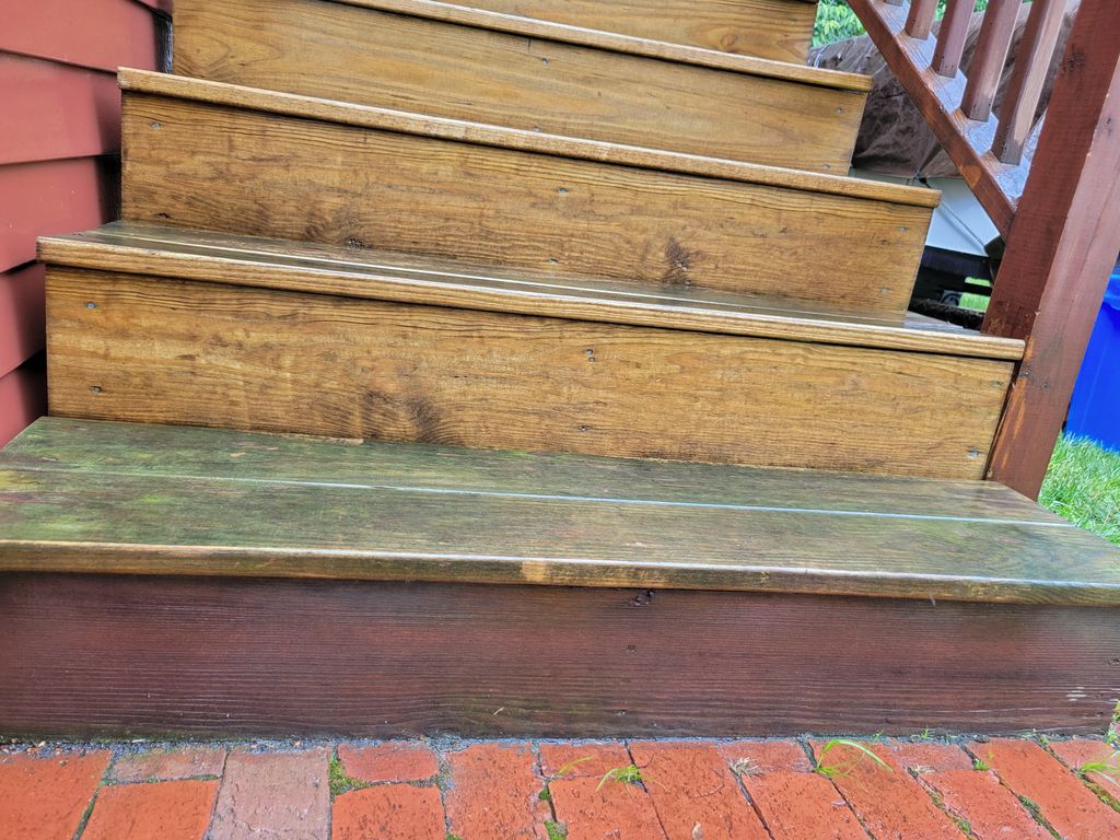 Stairs before (Alagae, mildew & tree sap))