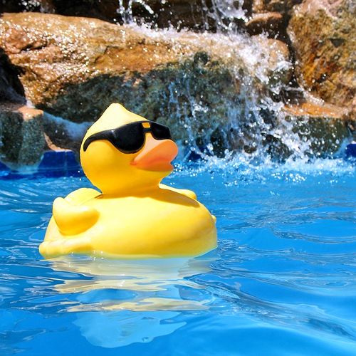 Rubber ducky your the one...Rubber ducky!