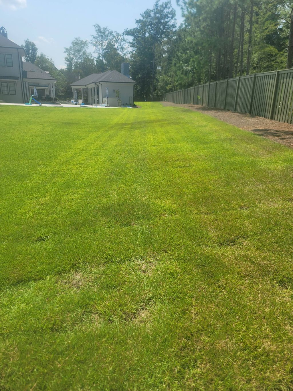 starting a back yard cut in champions retreat