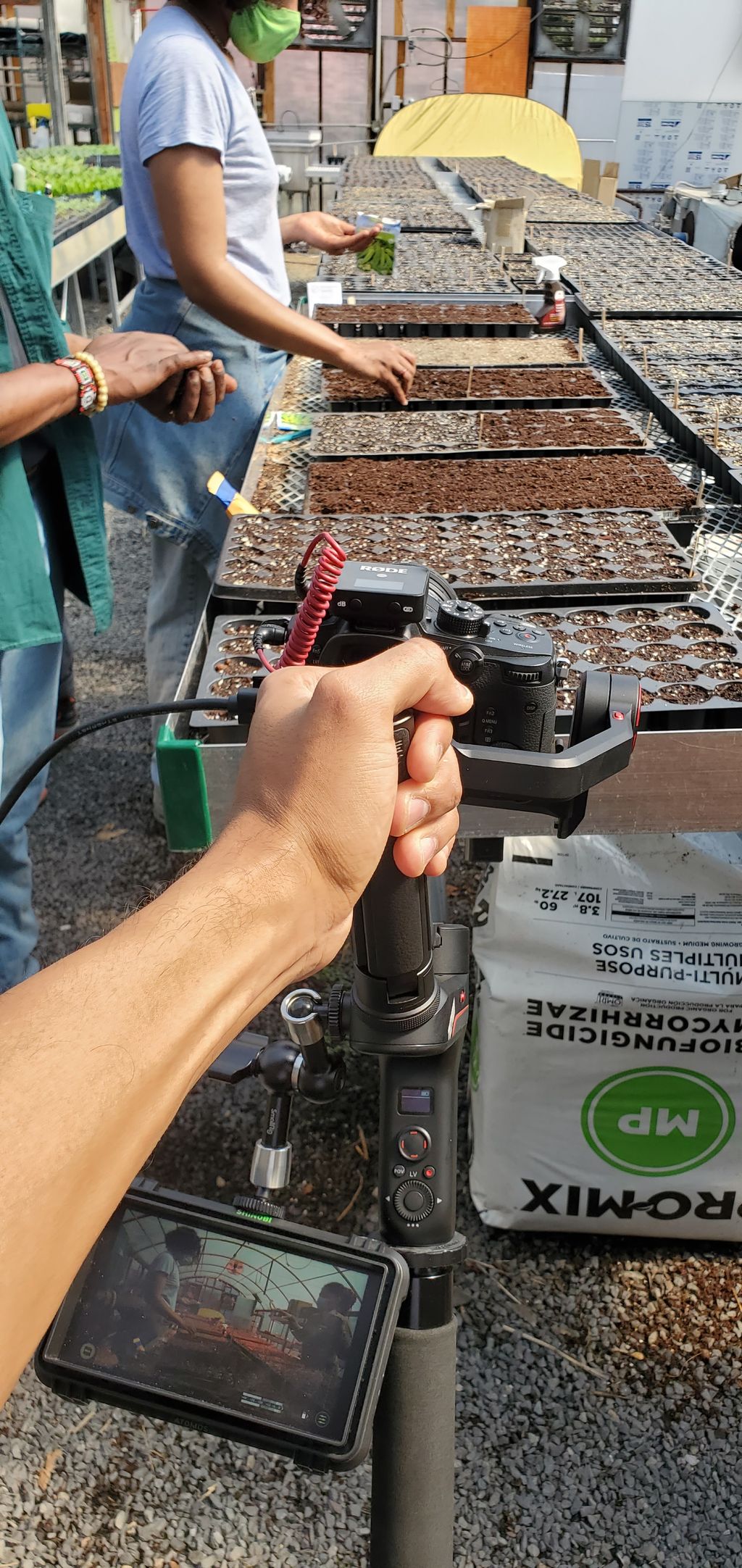 Projects and media
