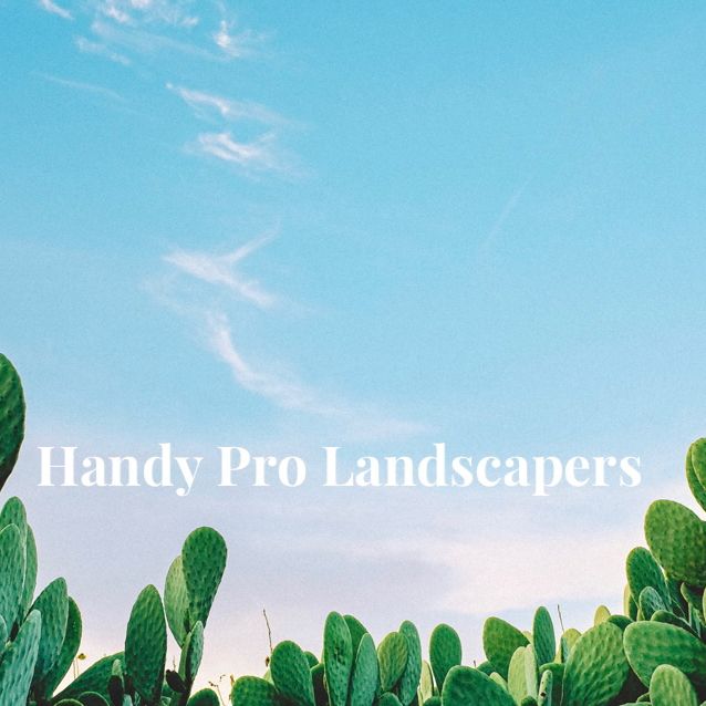 Handy Pro Services