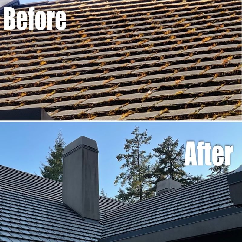 Roof Cleaning