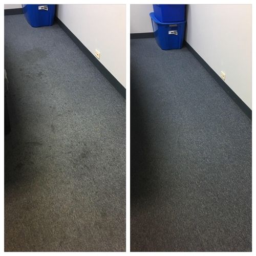 Before and after carpet