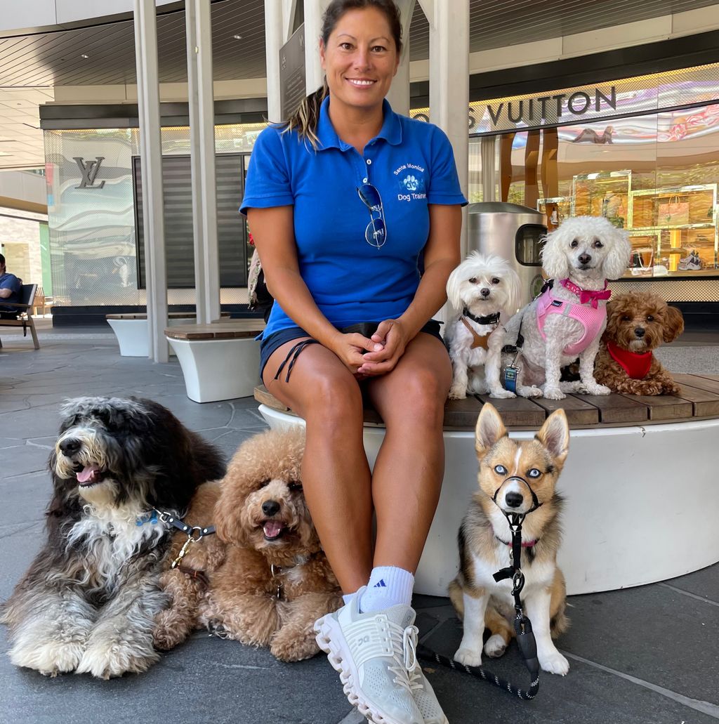 Santa Monica Paws