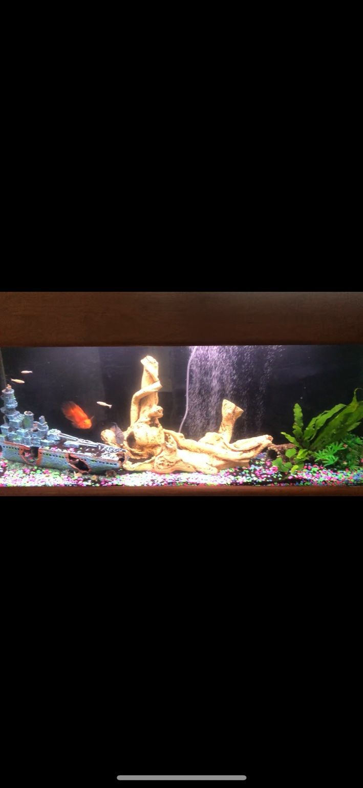 Customer photos