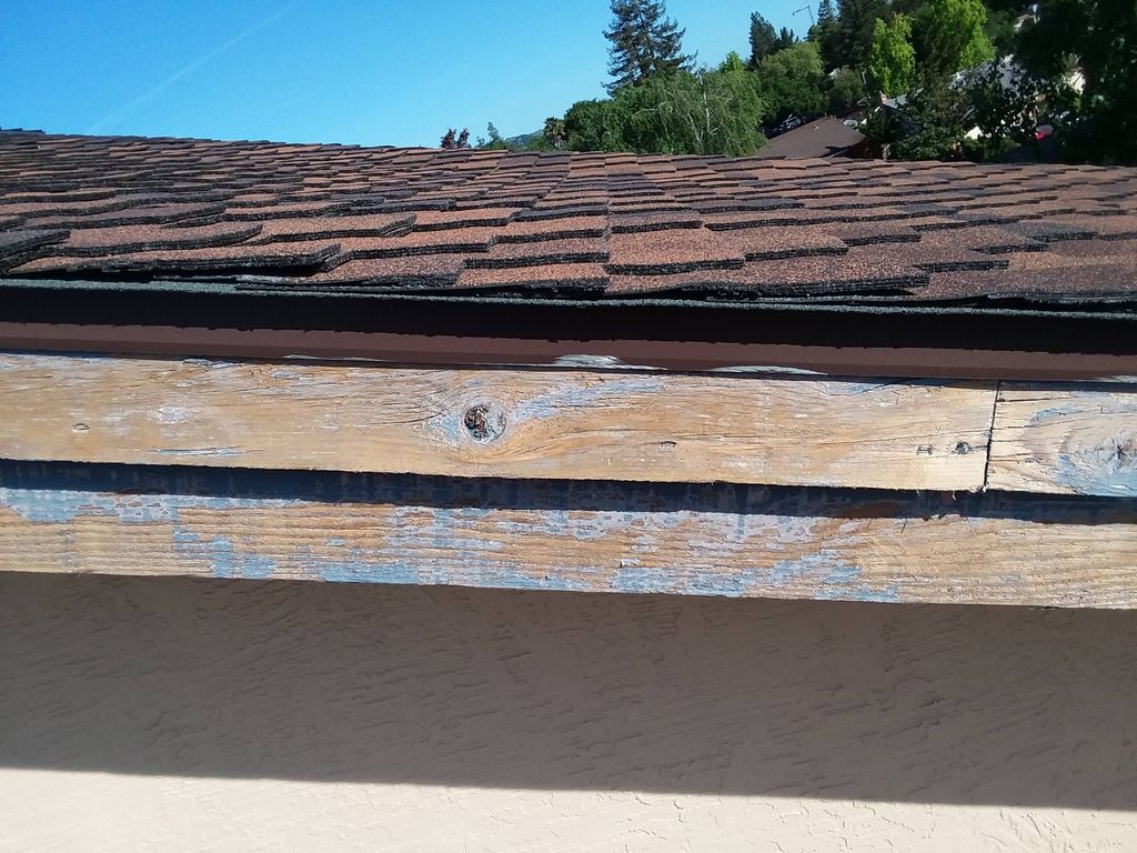 Grind off Peeling & Flaking - Prime &Paint 
