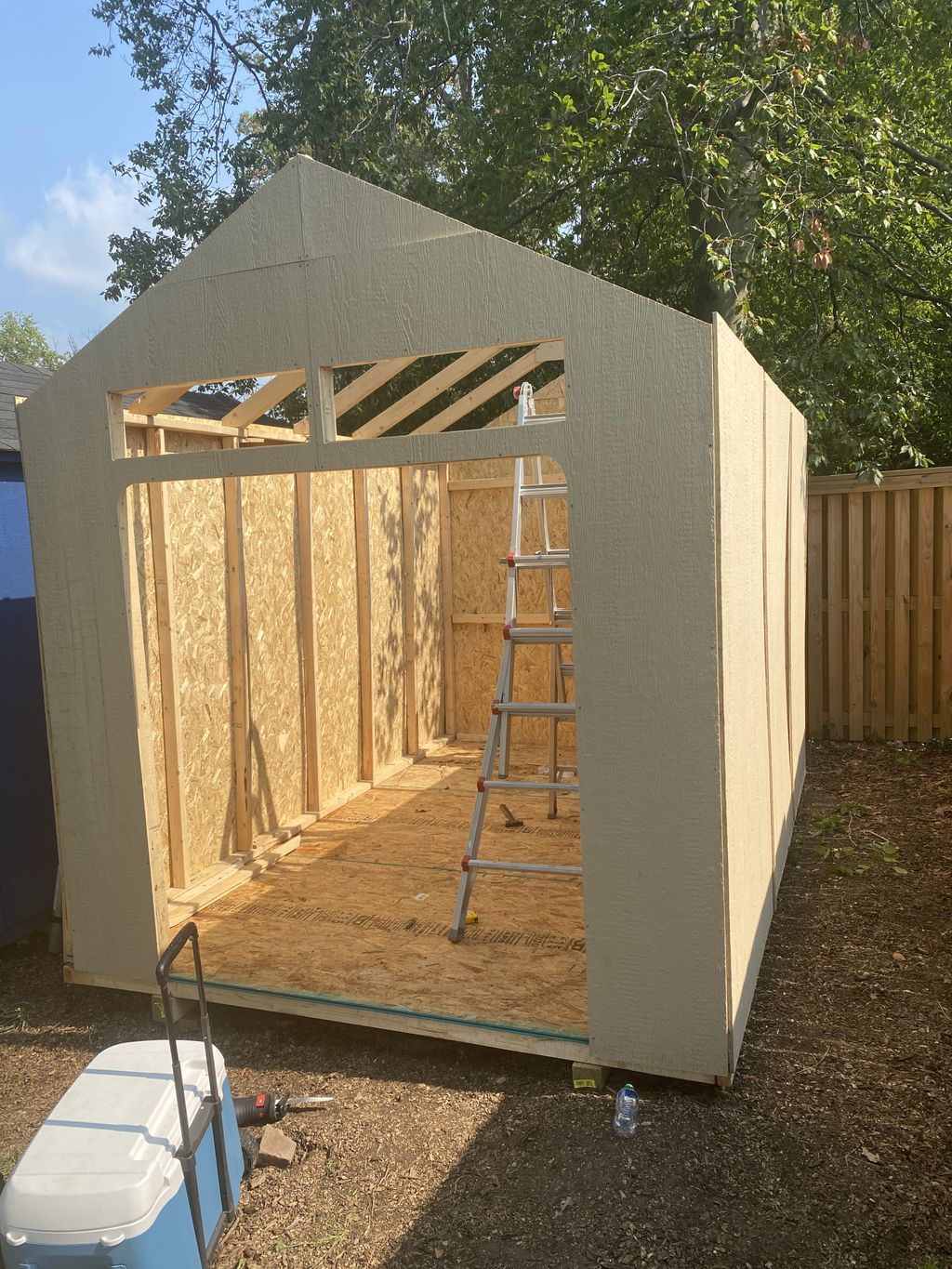 Projects and media