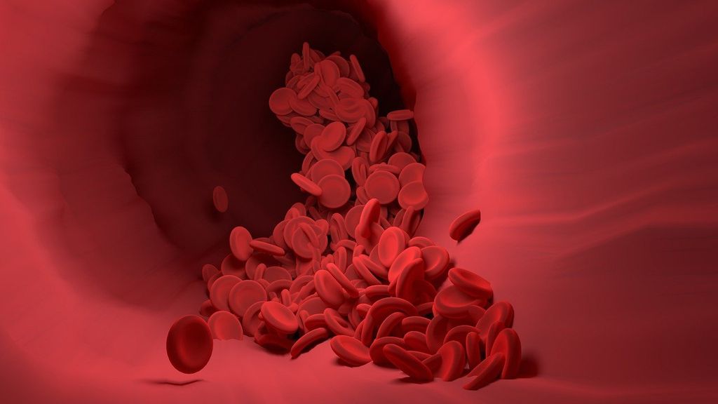 Live Blood Analysis