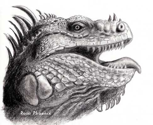 pencil drawing