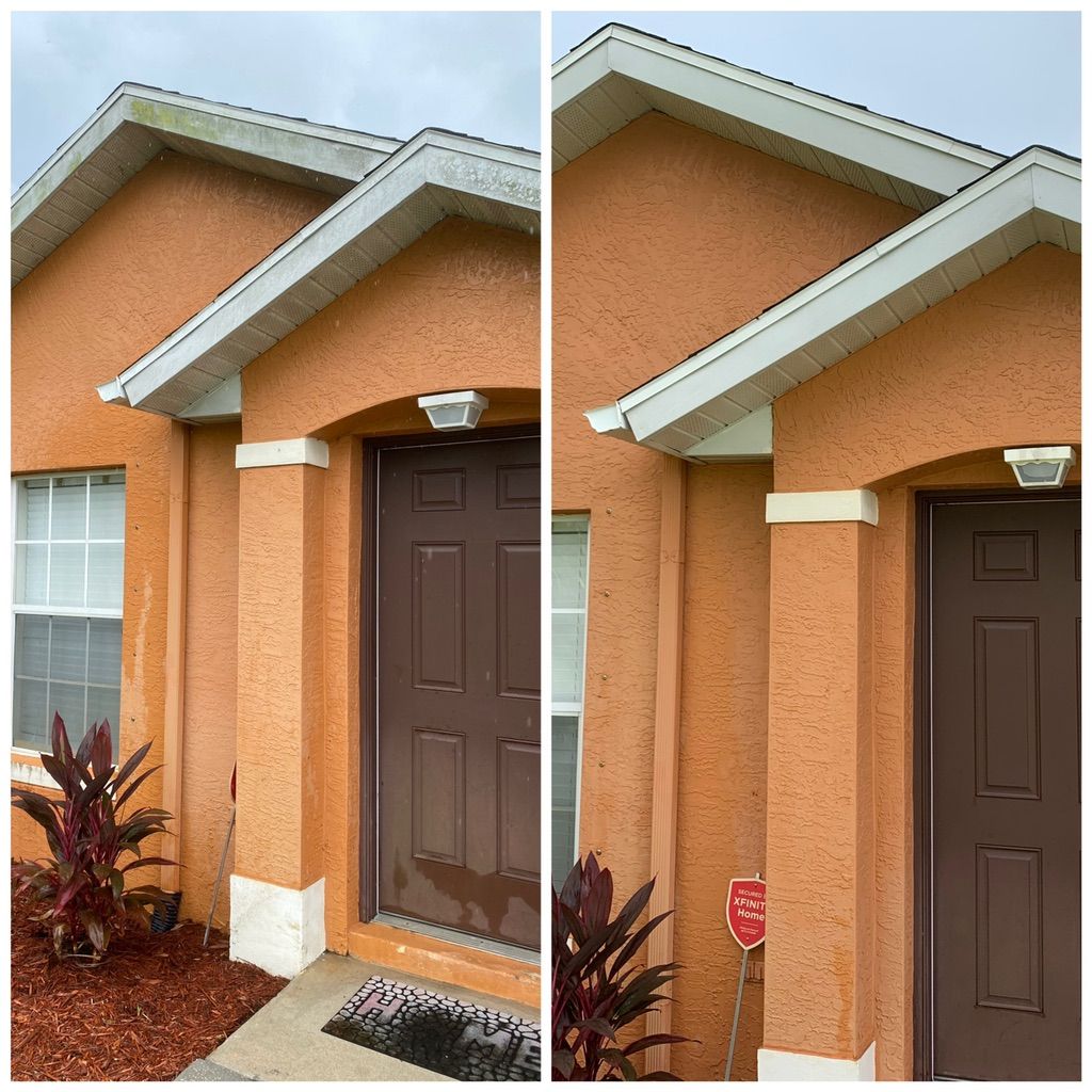 From mold to bold - Cleanix360 