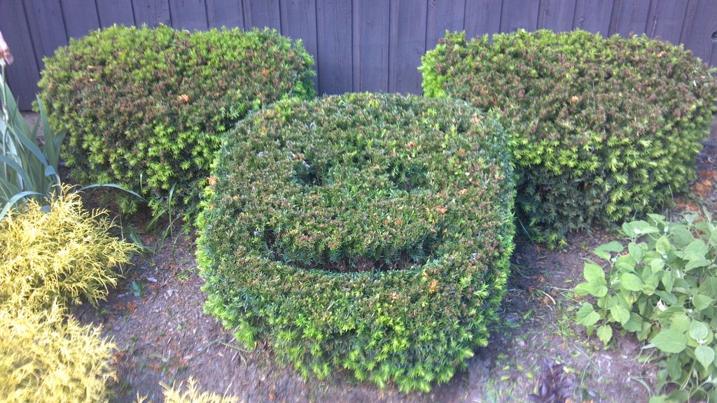 hi...