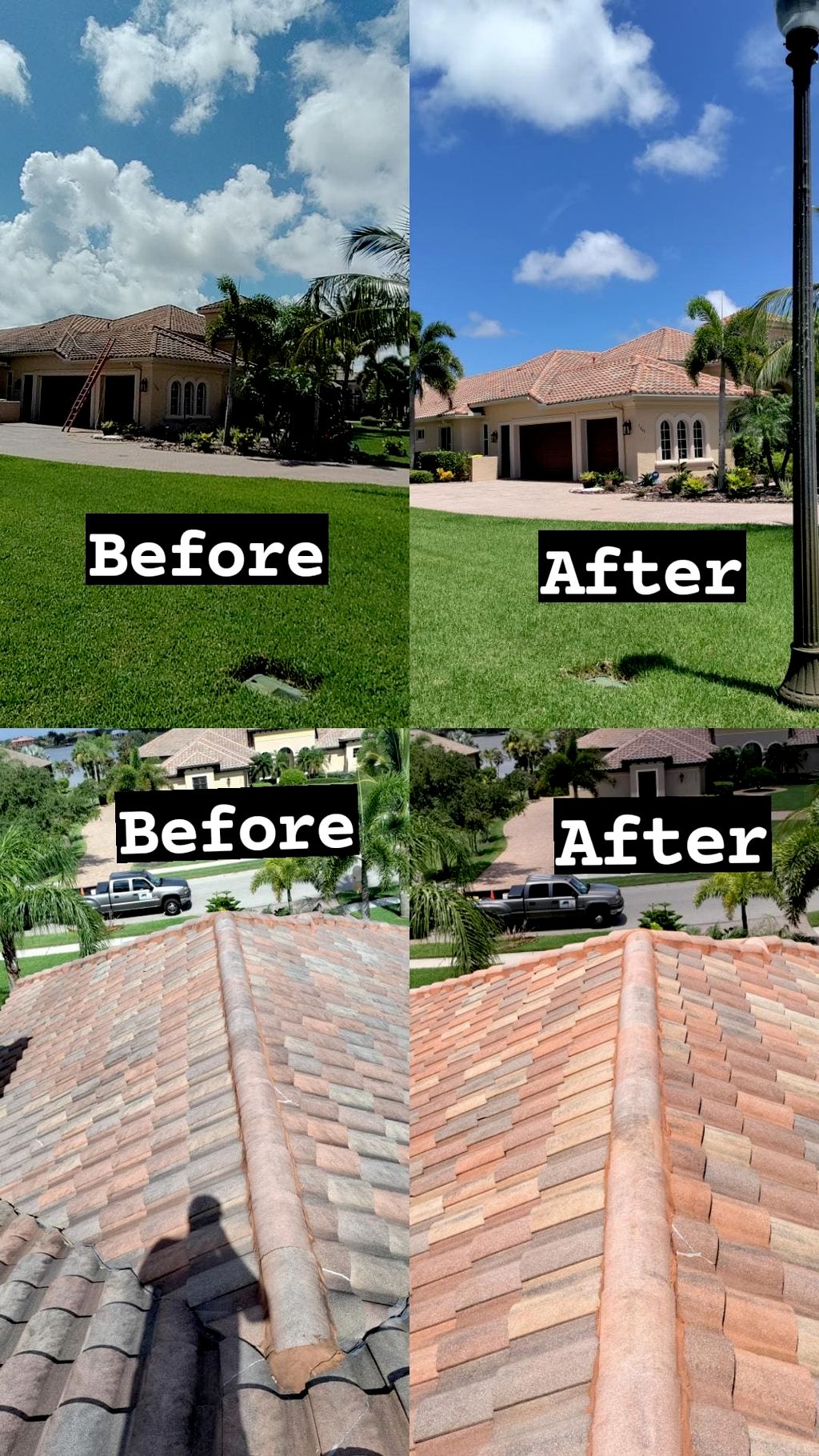 Projects and media