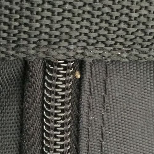 Found Bed Bug nymph in zipper