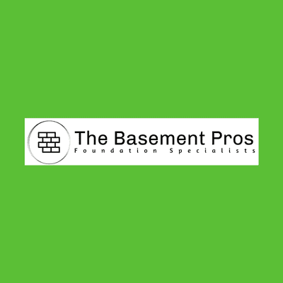 Avatar for "The Basement Pros"