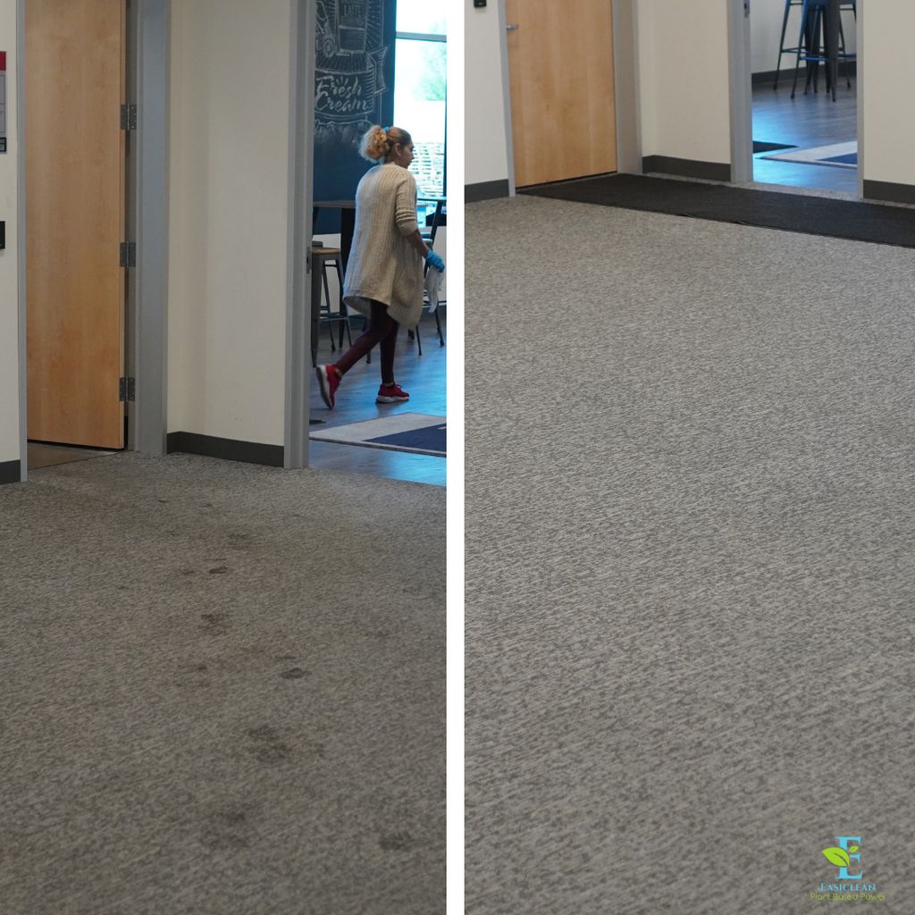 Commercial Dry Carpet Cleaning