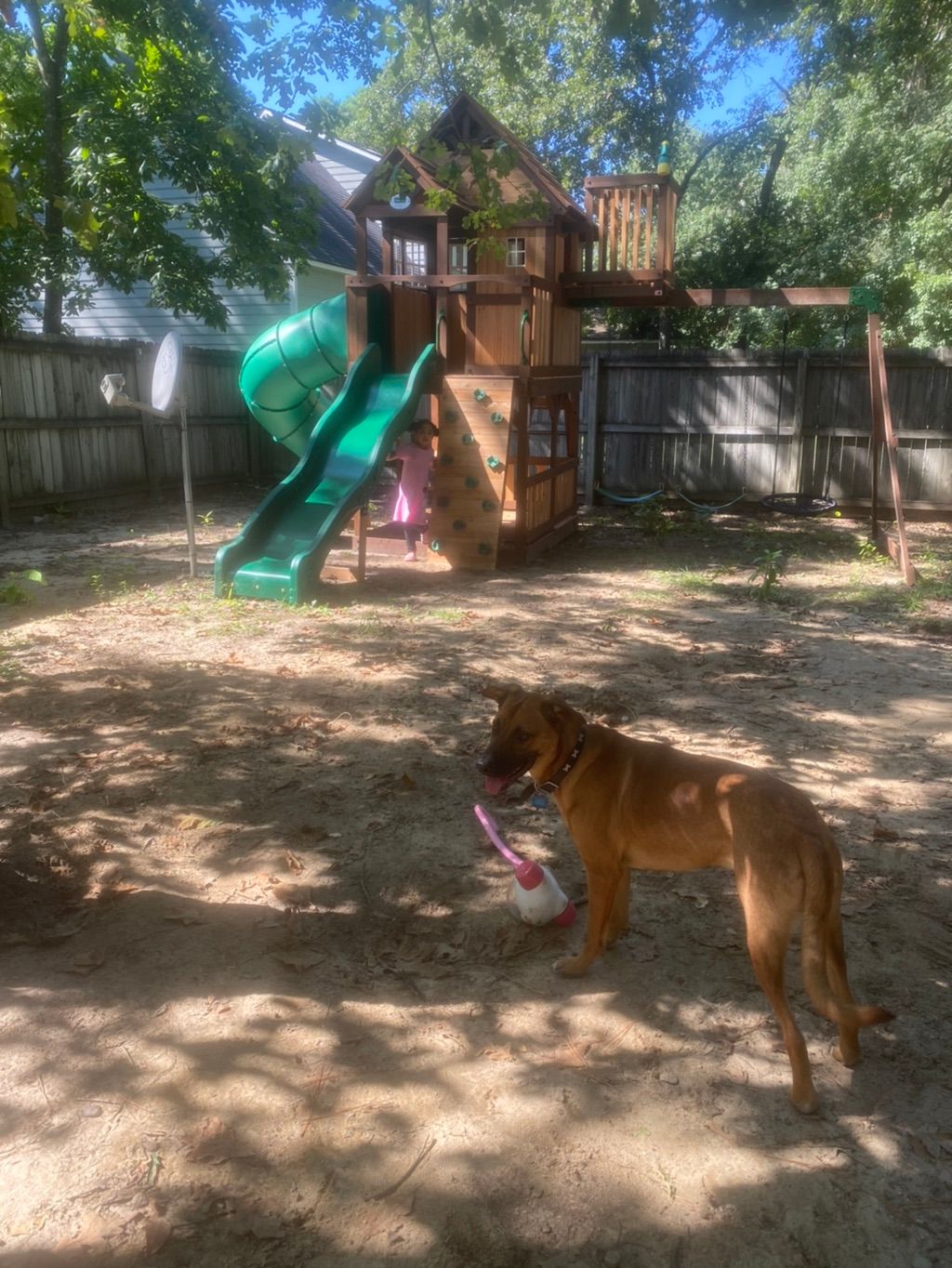 Customer photos