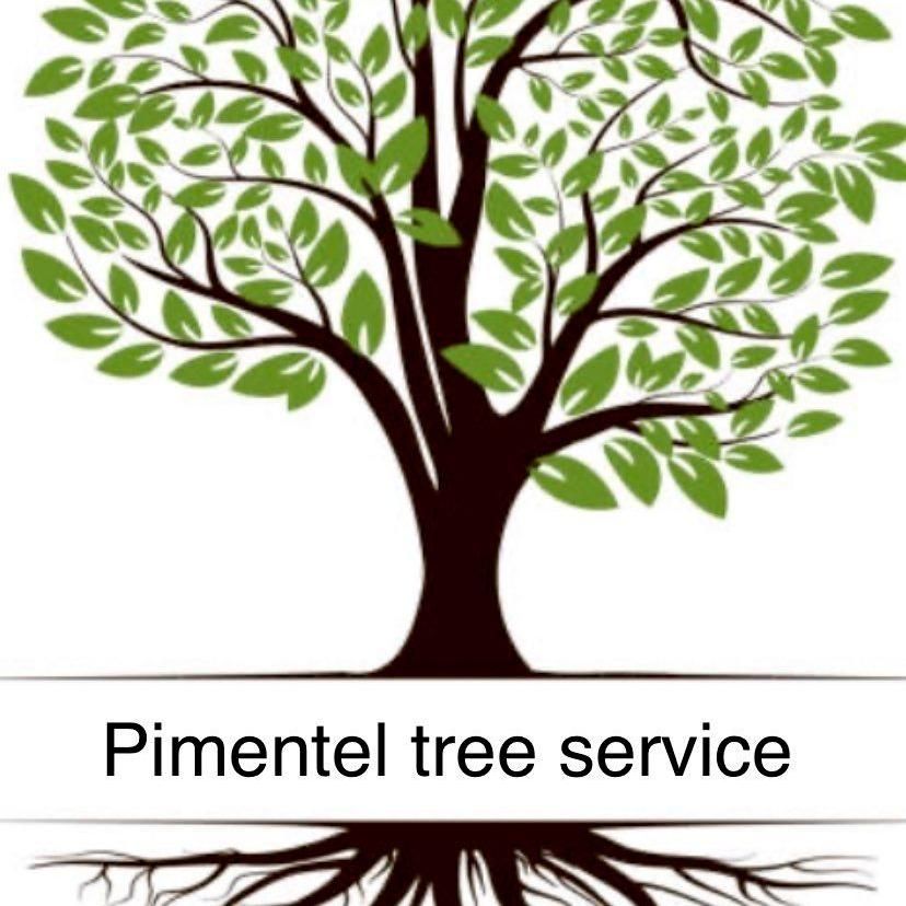 Pimentel Tree Service