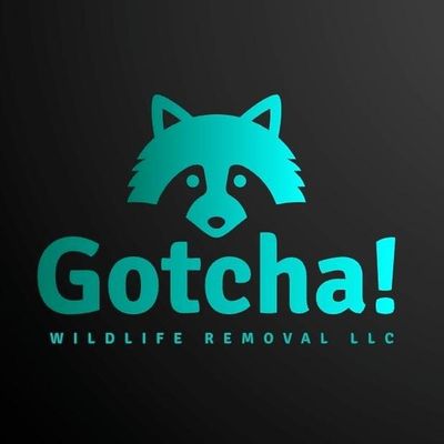 Avatar for Gotcha Wildlife Removal LLC