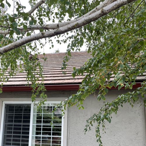 New 6" K-Style Seamless Gutters.