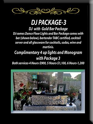 DJ and Bar/Bartender Package