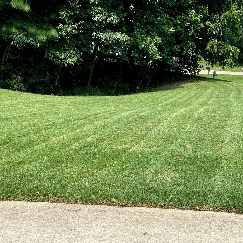 MOW BETTER LAWN SERVICE