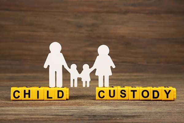 Paternity action $300