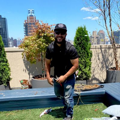 Avatar for MyForestNYC CORP.