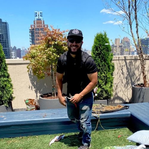 MyForestNYC CORP. Profile Picture