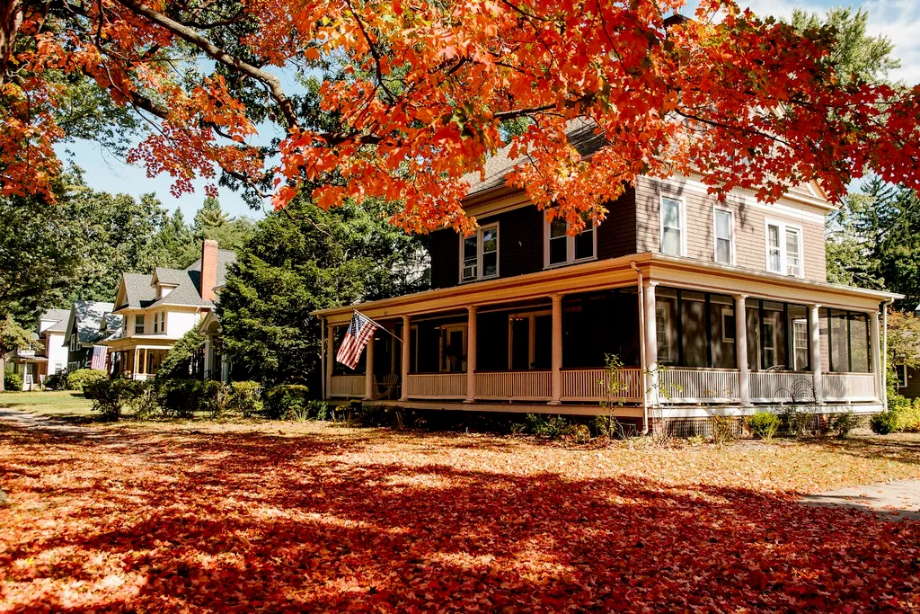 fall leaves on front yard lawn