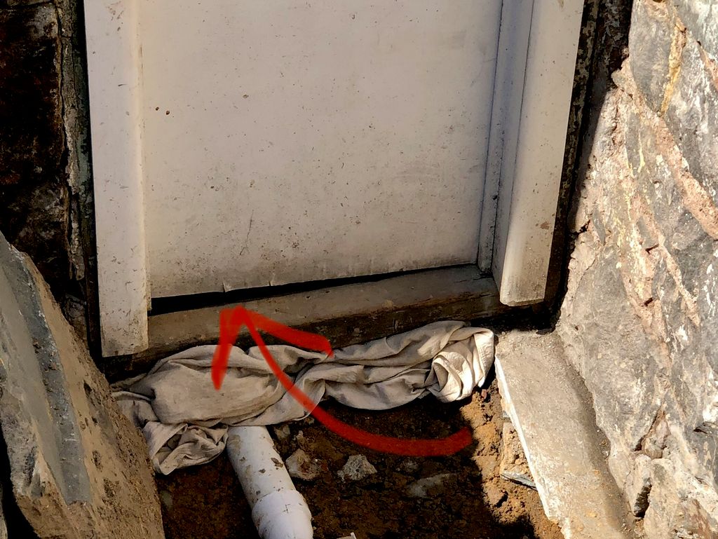 Identify rodent entry points 