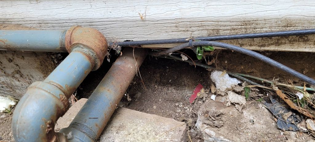 rodents access point 