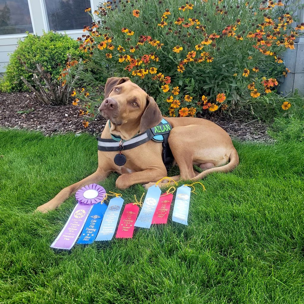 Scent Work Trial