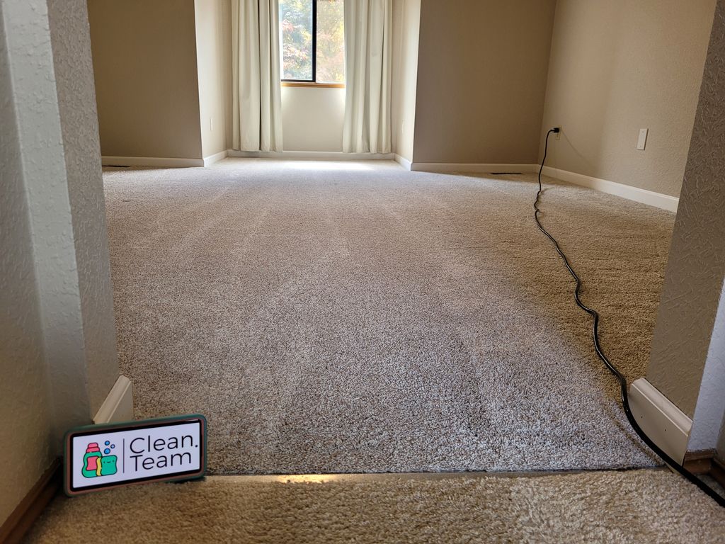Carpet Cleaning bedroom