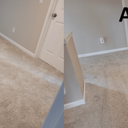 Carpet Cleaning main room