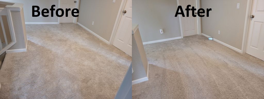 Carpet Cleaning main room
