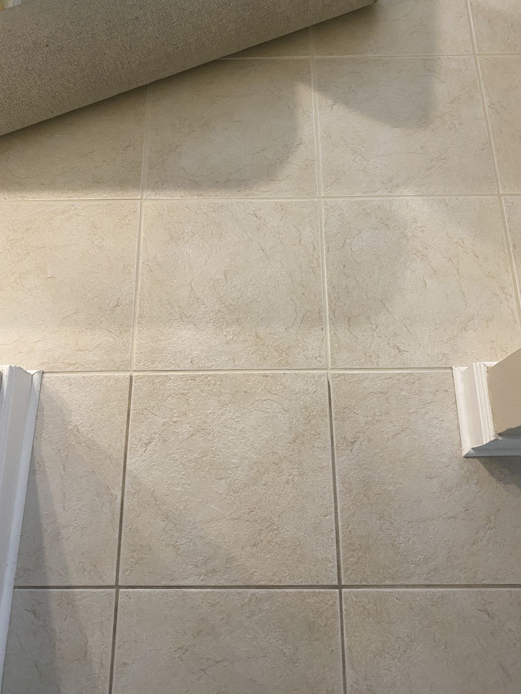 Tile and Grout Cleaning