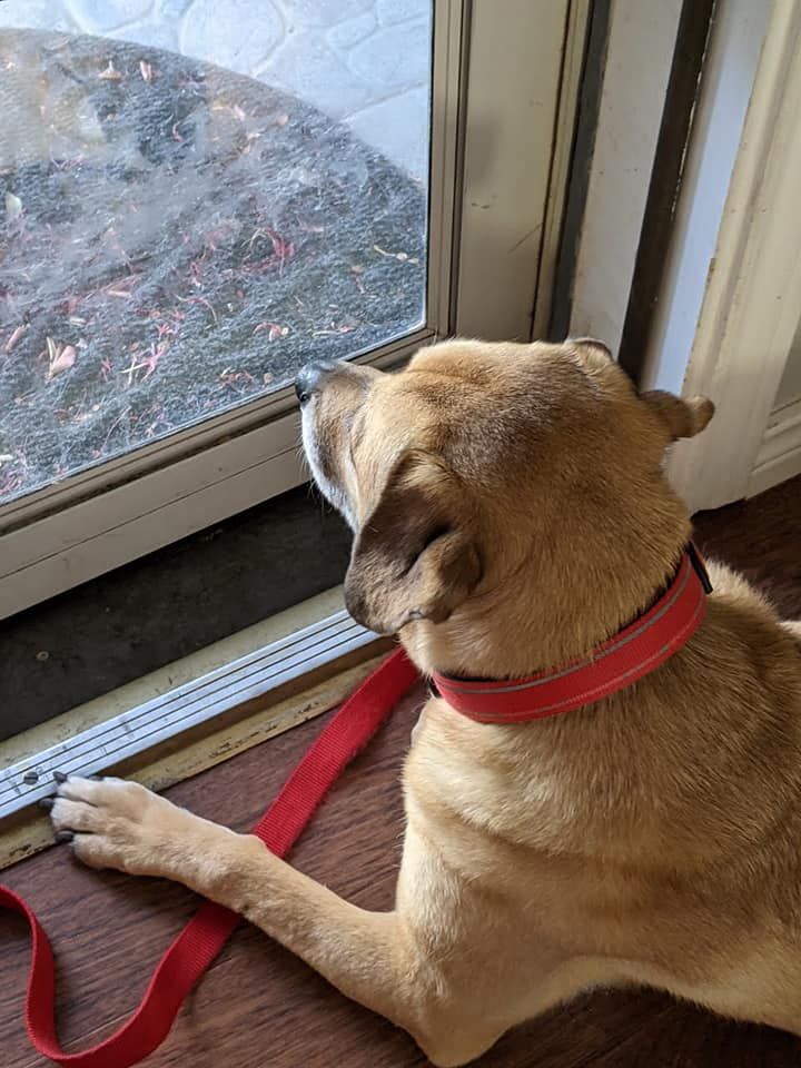 Tobi Eager To Walk