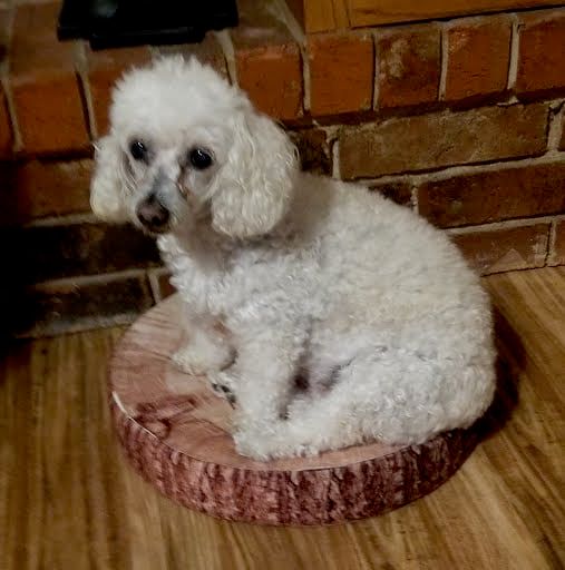 Candy (Dice's Sister) In All Her Glory!